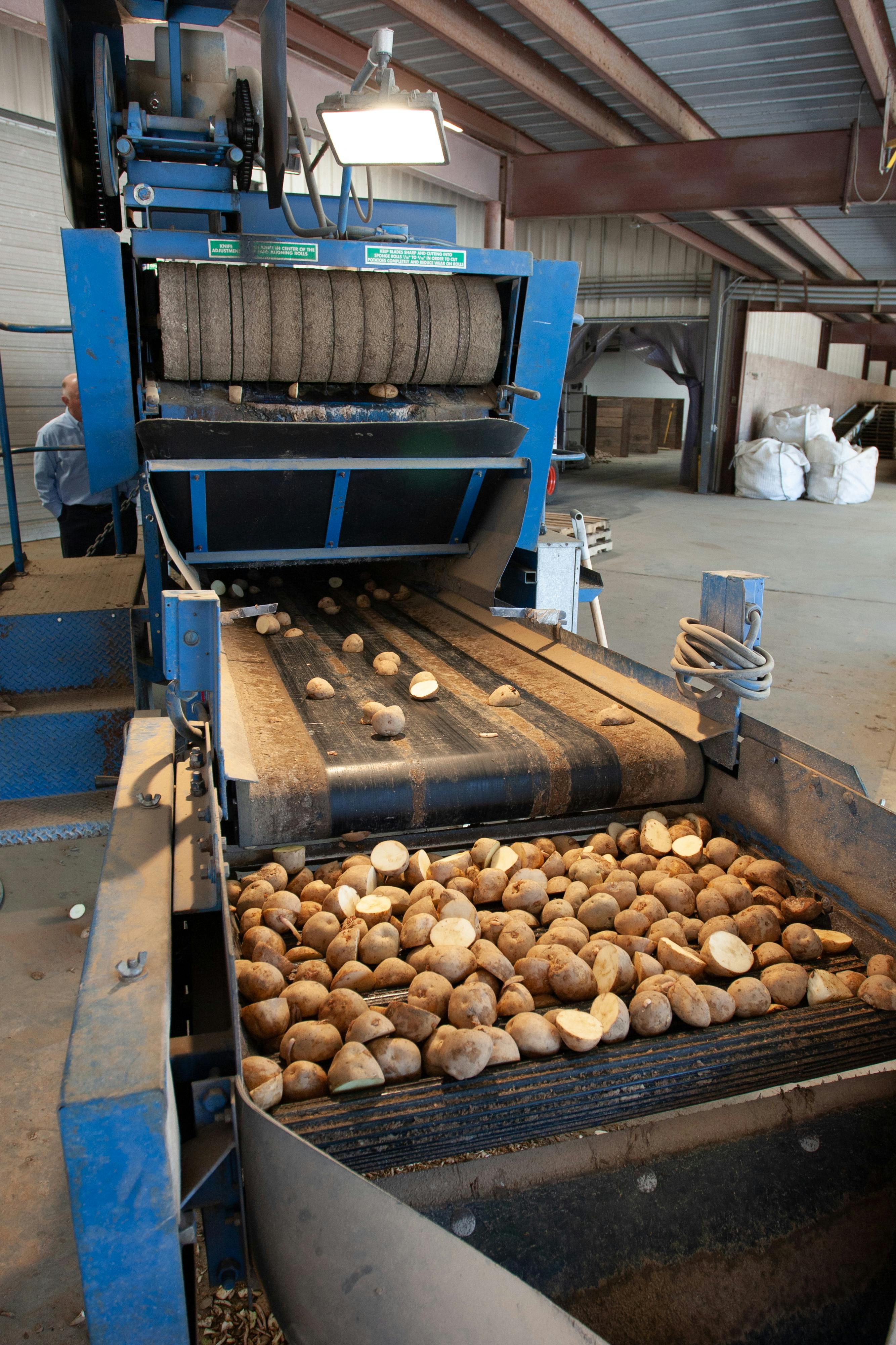 Potato Processing